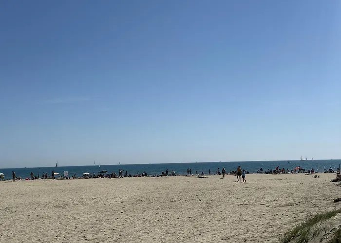 Sol-y-days Cyprianes Grande Terrasse Avec Piscine 아파트 라그랑모트